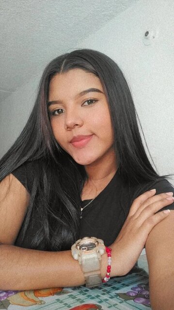 Greisy